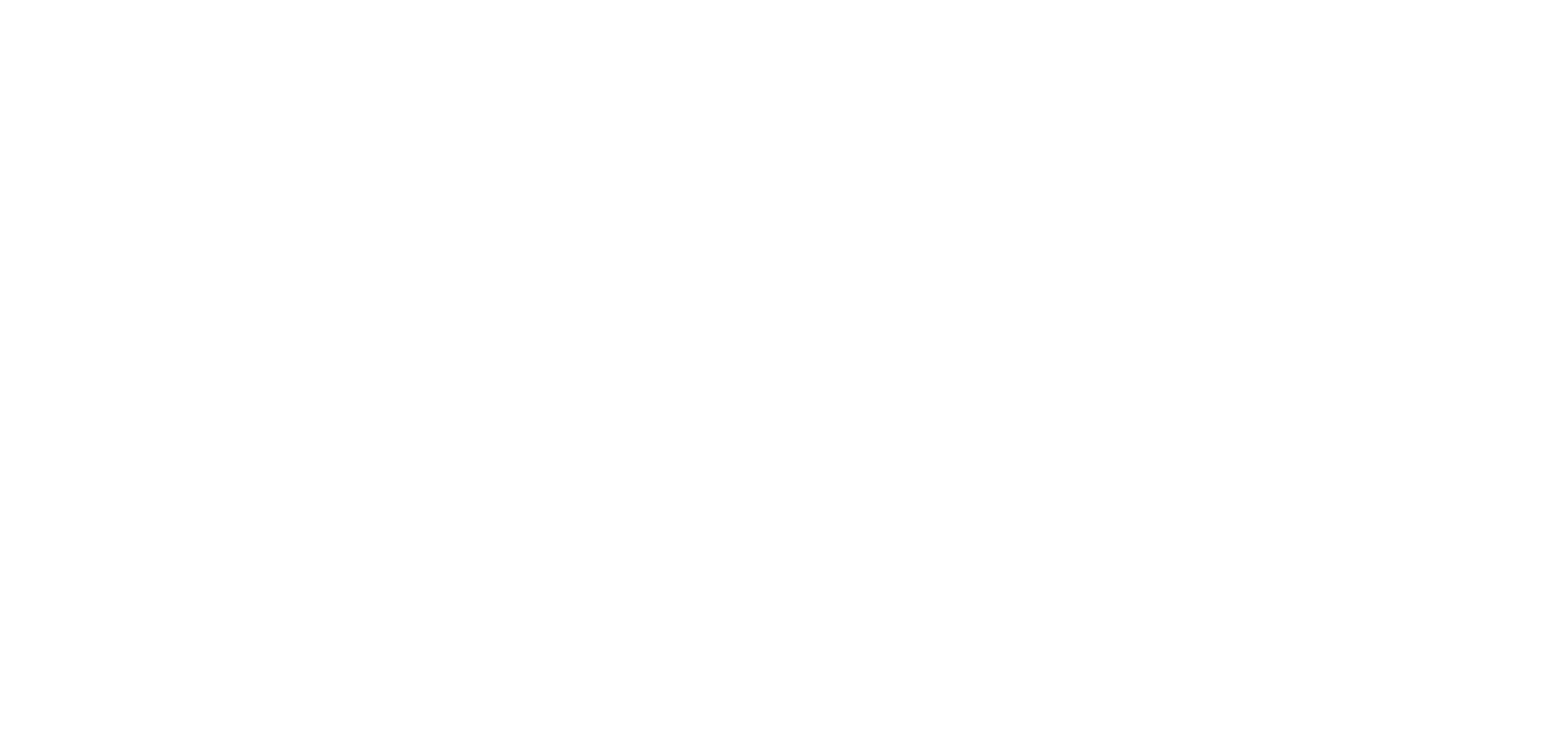 Emara Partners